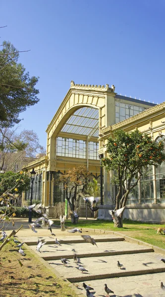 Greenhouse in Park — Stock Photo, Image