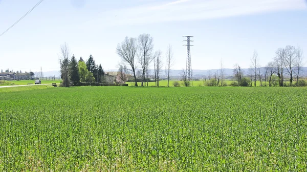 Landschaft der region osona, barcelona — Stockfoto