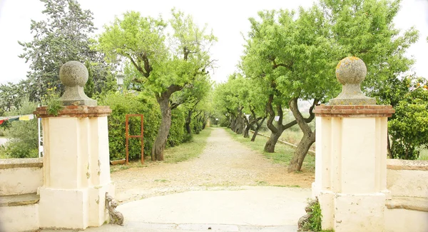 Budist manastır yürümek — Stok fotoğraf