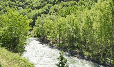 Görünüm Noguera Pallaresa Nehri