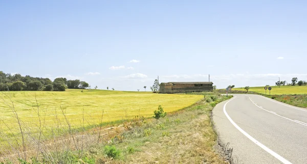 Сільськогосподарські краєвид в місті Lleida — стокове фото