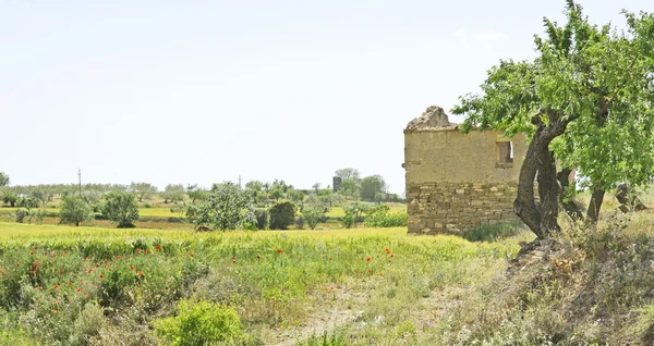 Paysage agricole à Lleida — Photo