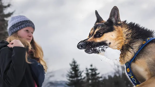 Chica y divertido perro con nieve en la boca — Foto de Stock