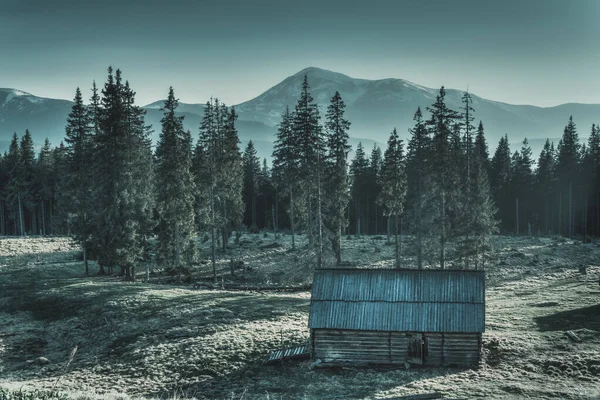 Casa velha nas montanhas perto de floresta espessa — Fotografia de Stock