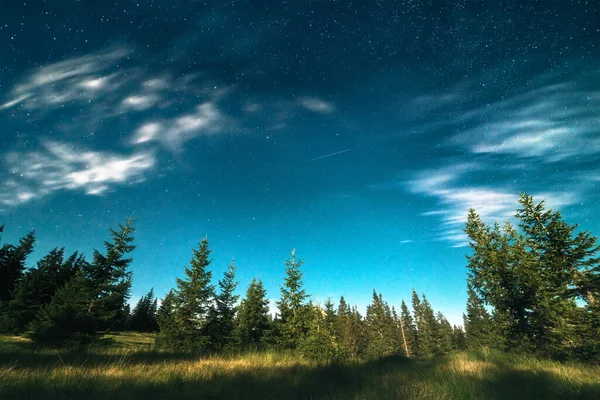 飞机在美丽的夜空中飞越绿色的针叶林 — 图库照片