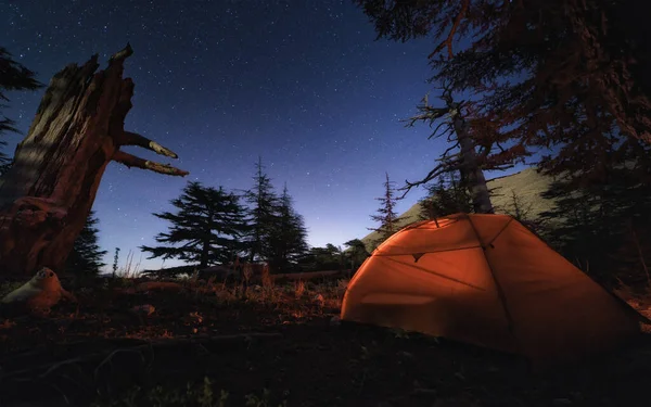 Kampeer onder sterrenhemel tussen cederbomen, Tahtal Mountain Range — Stockfoto