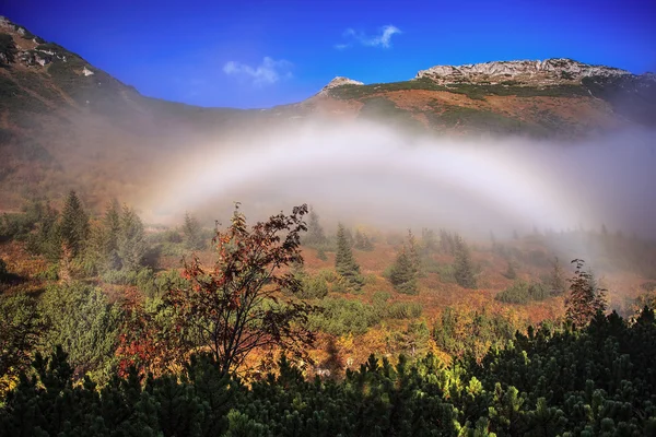 Arco de niebla — Foto de Stock
