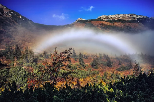 Arco de niebla (arco nebuloso) - arco iris blanco incoloro — Foto de Stock