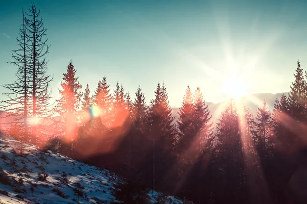 Sun and glare in winter mountains — Stock Photo, Image