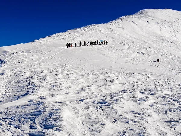 Gruppe von Bergsteigern steigt am schneebedeckten Berg auf — Stockfoto