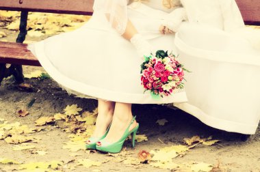 Bride in bright clothes on the bench clipart
