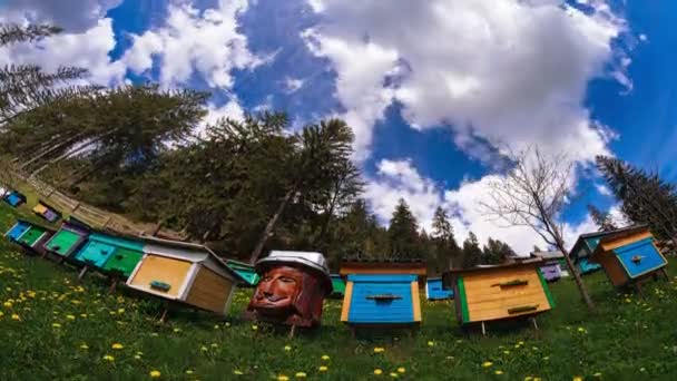 Pszczelarstwo w Karpatach ukraińskich. Upływ czasu 4K. — Wideo stockowe