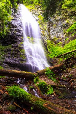 Yalynsky Falls, Ukrayna Karpatlar (1050 en yüksek Şelalesi