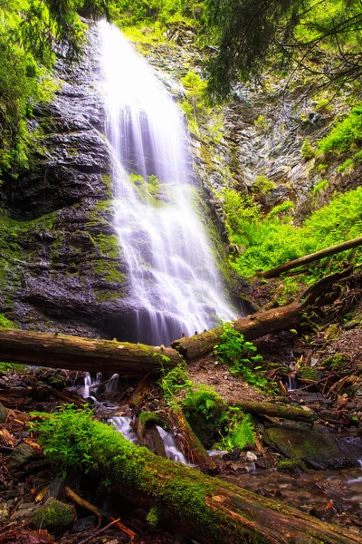 Yalynsky Falls, Ukrayna Karpatlar (1050 en yüksek Şelalesi — Stok fotoğraf