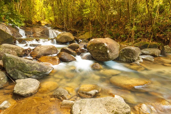 Fresh waterfall stream in the rainforest. — Stock Photo, Image