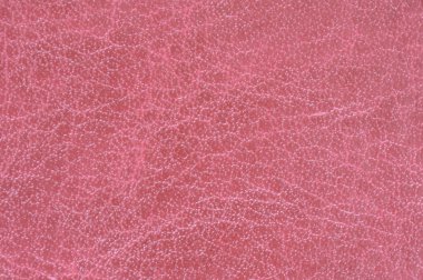 RAD deri closeup doku arka plan.