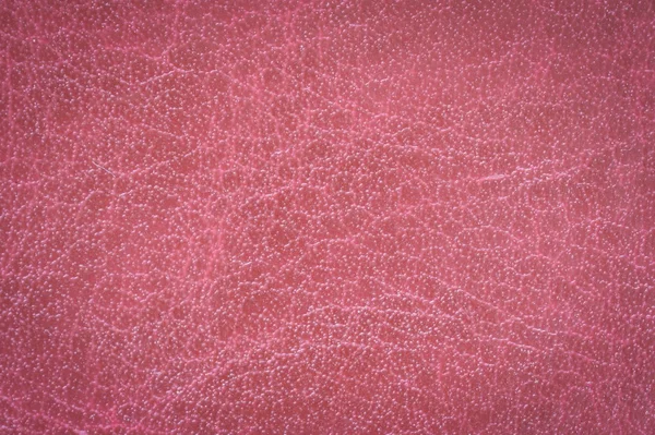 RAD deri closeup doku arka plan.