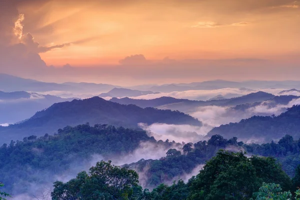 Twilight landscape in rain forest, HDR process. — Stock Photo, Image