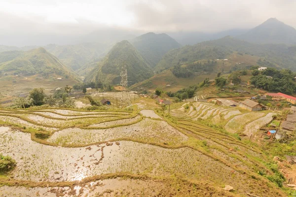 Rice fields on terraced of  Cat Cat Village,Vietnam. — Stock Photo, Image