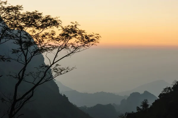 Mistige zonsondergang dageraad met zonnestralen over het regenwoud. — Stockfoto