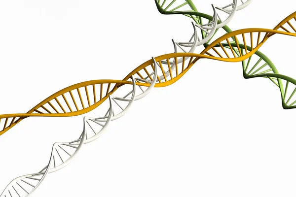 3d render ,Model of twisted DNA chain isolated. — Stock Photo, Image