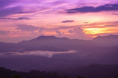 Sonra yağmur ormanlarında güzel alacakaranlık yağmurlu.