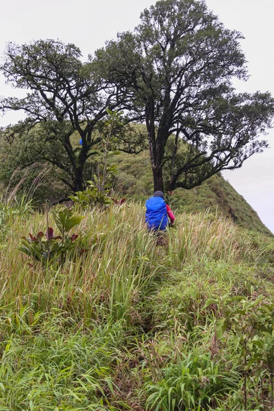 Backpacker walk along on a trail in the forest of  Khao Chang Pu — Stock Photo, Image