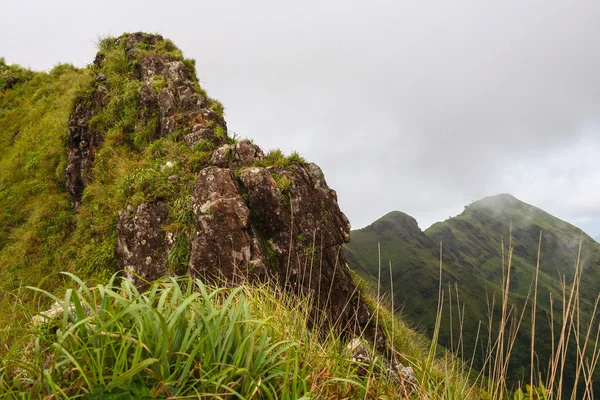 Trail for cliff to peak in the forest of  Khao Chang Puak mounta — Stock Photo, Image