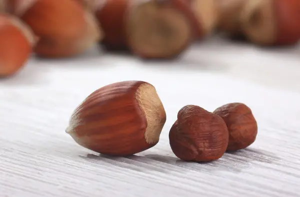 Hazelnoot op een witte tafel — Stockfoto