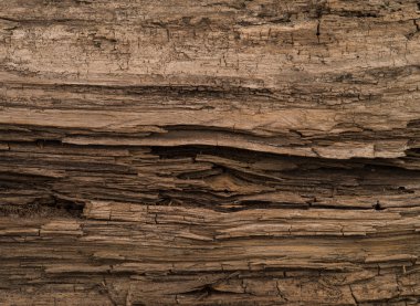 kahverengi eski doku