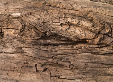 kahverengi eski doku