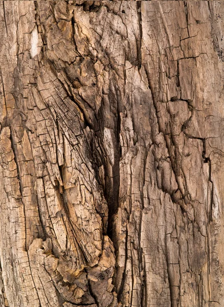 Коричневая старая текстура — стоковое фото