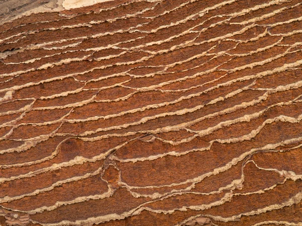 Kahverengi eski doku — Stok fotoğraf