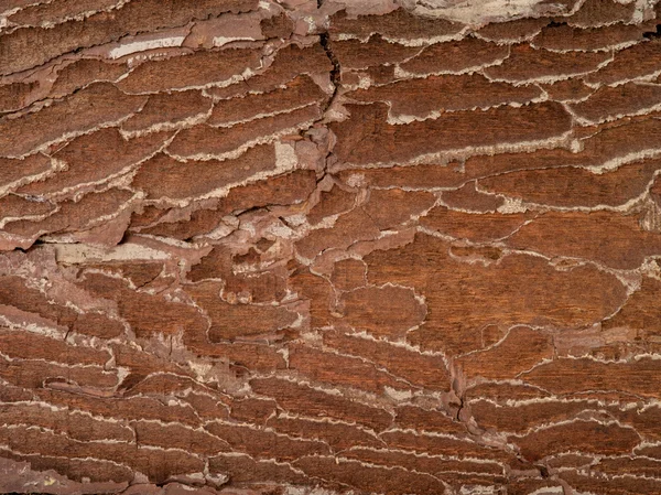 Bruin oude textuur — Stockfoto