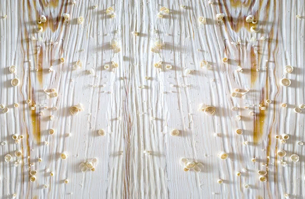 소나무의 백색 구조 — 스톡 사진