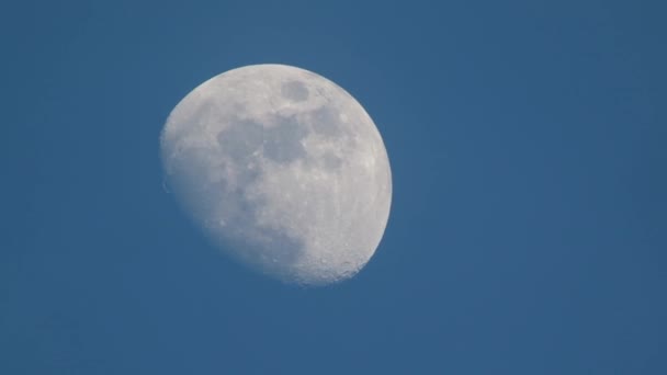 Луна на голубом небе — стоковое видео