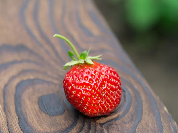 Zoete rode aardbei — Stockfoto