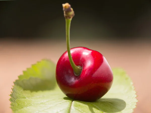 Cereja vermelha madura — Fotografia de Stock