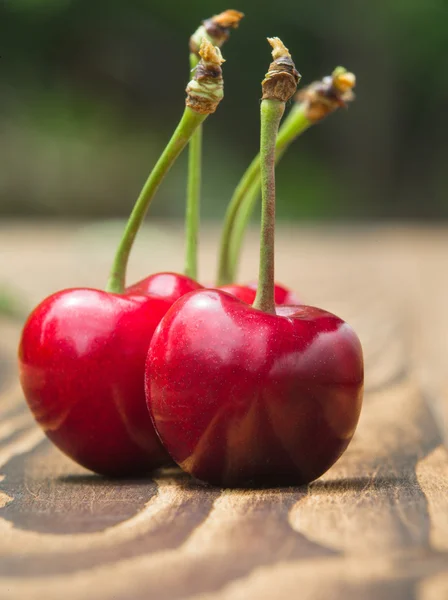 Спелые красные вишни — стоковое фото