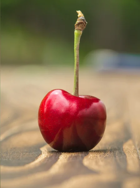 Mogna röda körsbär — Stockfoto