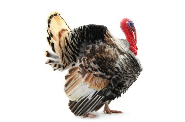 Türkiye ile açık bir kuyruk