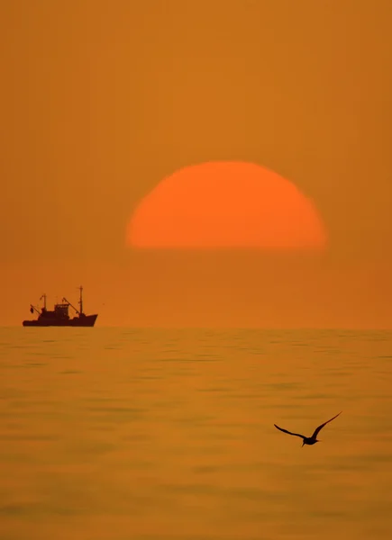 Eine aufgehende Sonne — Stockfoto