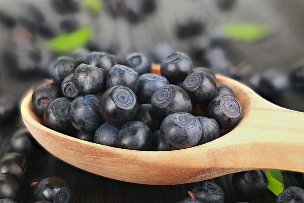 Bilberry masada — Stok fotoğraf