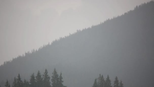 山上的雨 — 图库视频影像