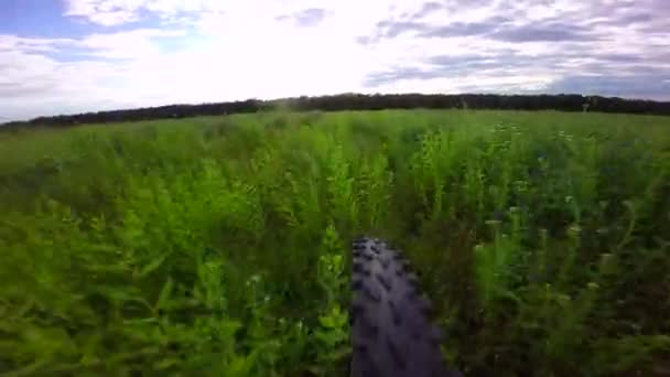 Cykelhjul går på ett gräs — Stockvideo