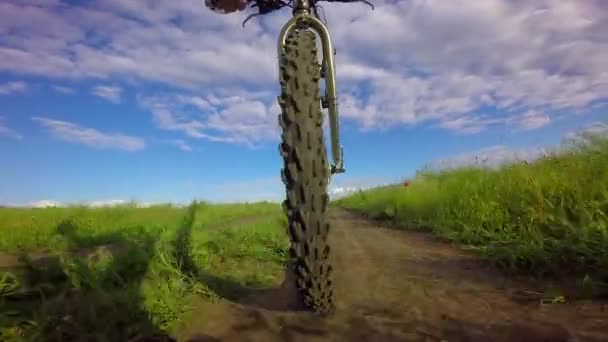 Bicycle wheel  goes on a footpath — Stock Video