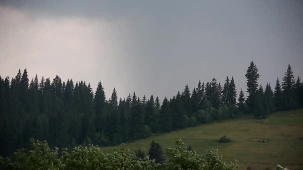 Regen in de bergen — Stockvideo