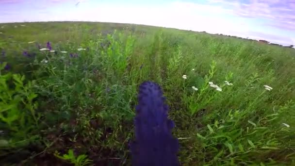 自転車の車輪が草に行く — ストック動画