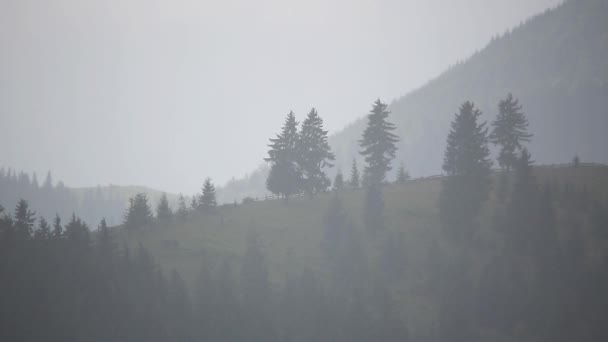 Regen in de bergen — Stockvideo