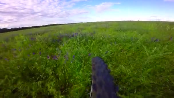 Bicycle wheel  goes on a grass — Stock Video